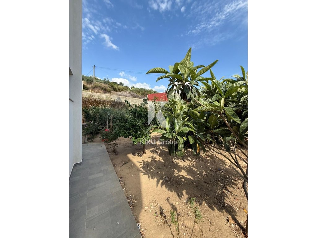 property-4