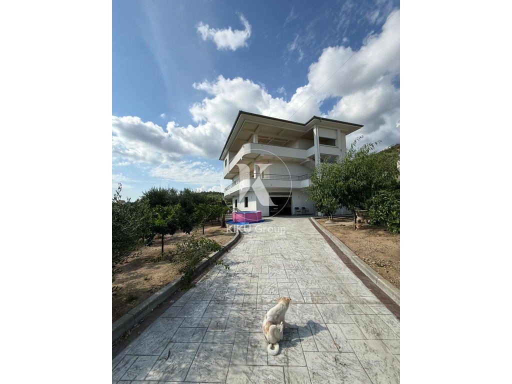 property-4