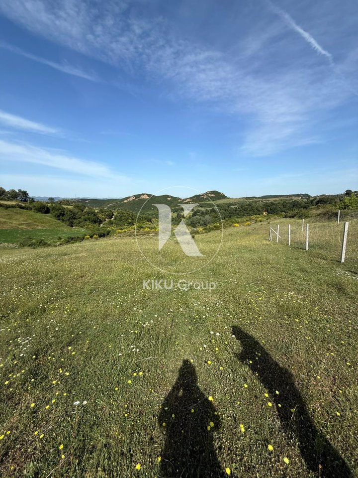 Shitet Tokë 900 m² – Priskë e Madhe
