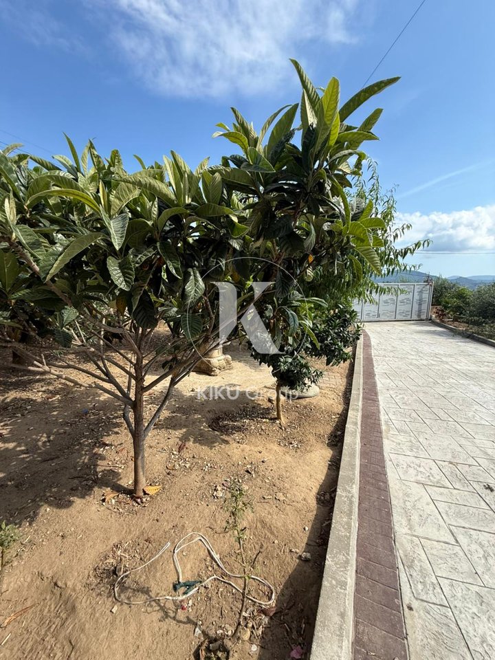 VILË PËR SHITJE – FARKE