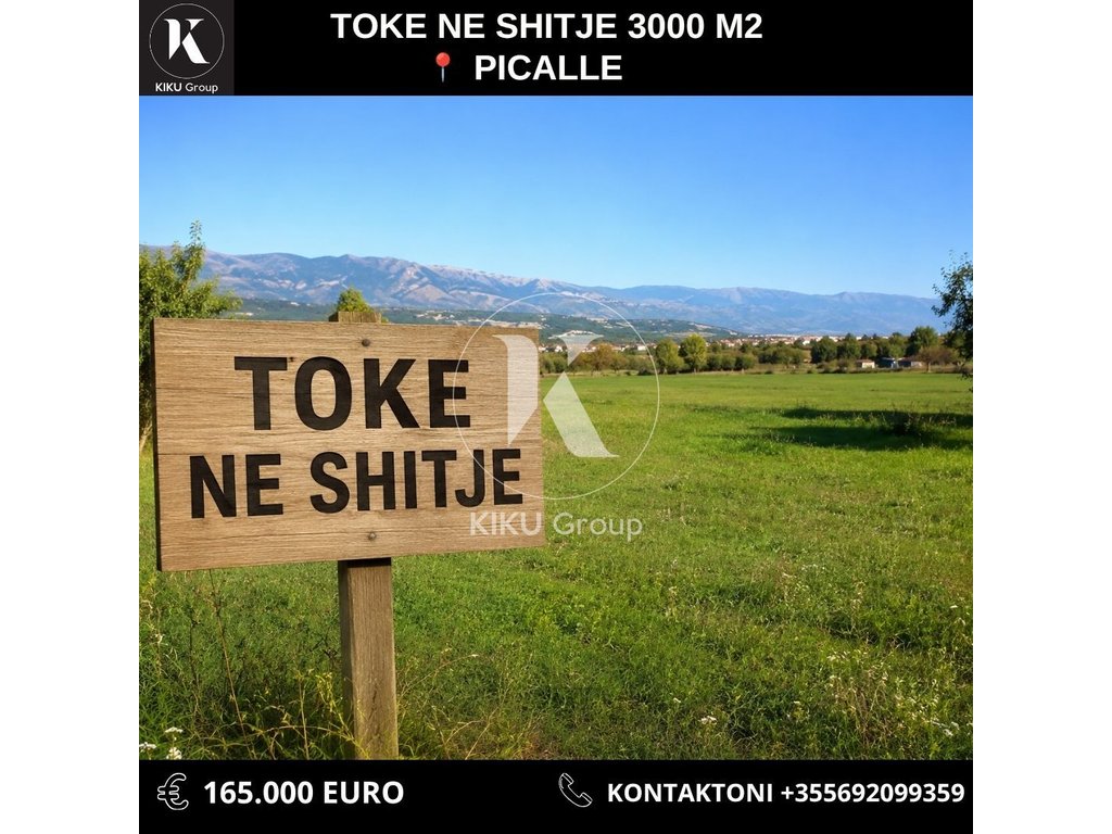 Shitet Tokë në Picallë