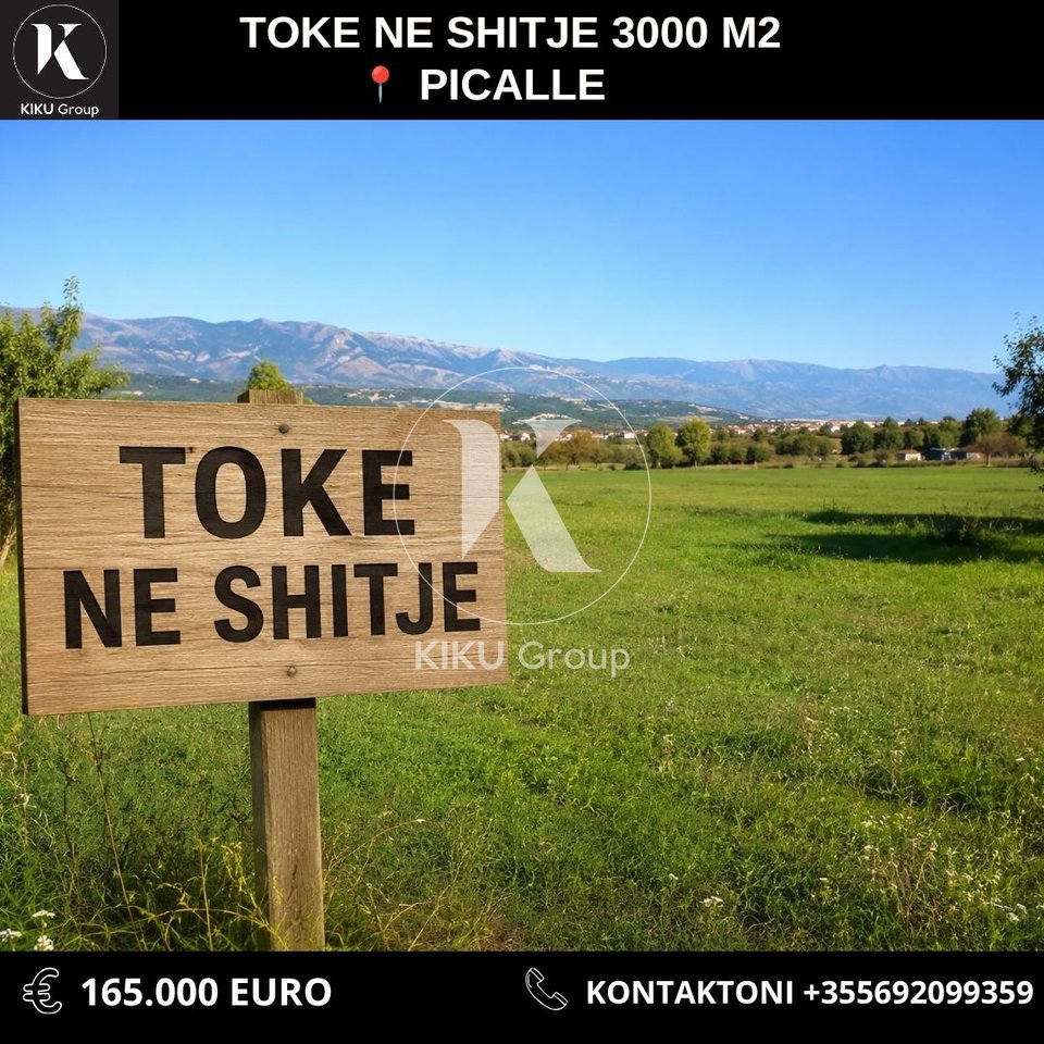 Shitet Tokë në Picallë