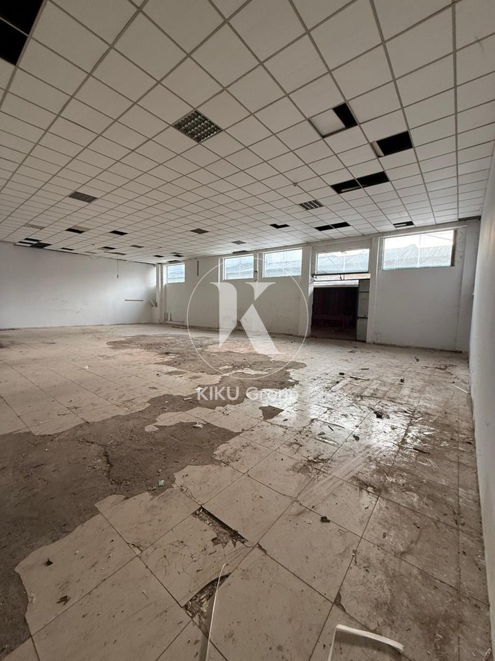 ✨ Rental Store – “American 3” ✨