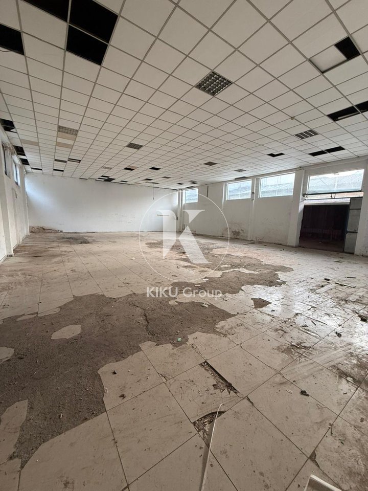 ✨ Rental Store – “American 3” ✨