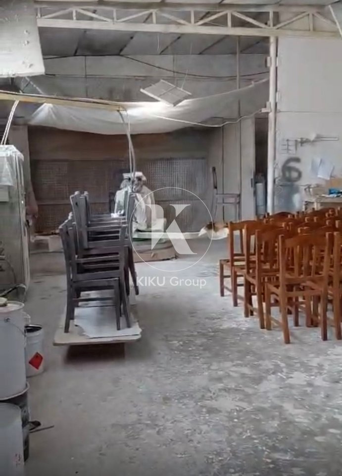 ✨ Magazinë me qira – “Amerikan 3” ✨