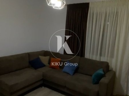 🏡 Jepet me qira apartament 1+1 – Ish Parku, mbrapa Globe