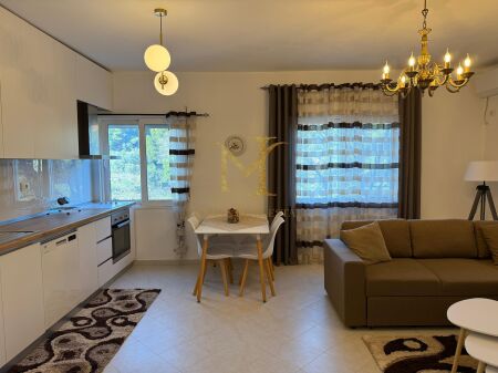 JEPET ME QERA APARTAMENT 1+1 NE VOLLGA!