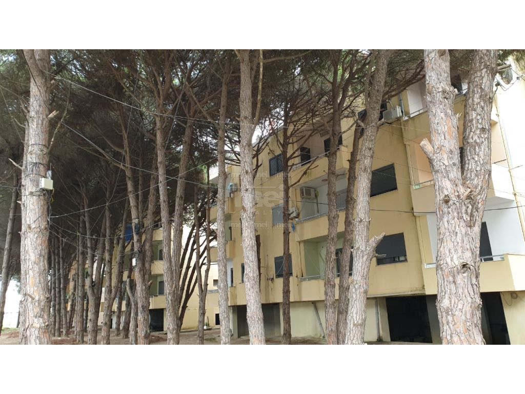 Te Mali i Robit Shitet Apartament 1+1