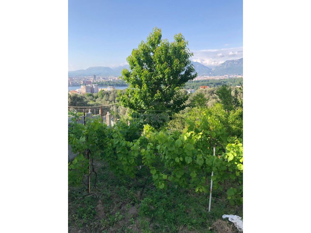 Tek Liqeni I Thate, Shitet Toke 250 m2 Me Certifikate Pronesie.