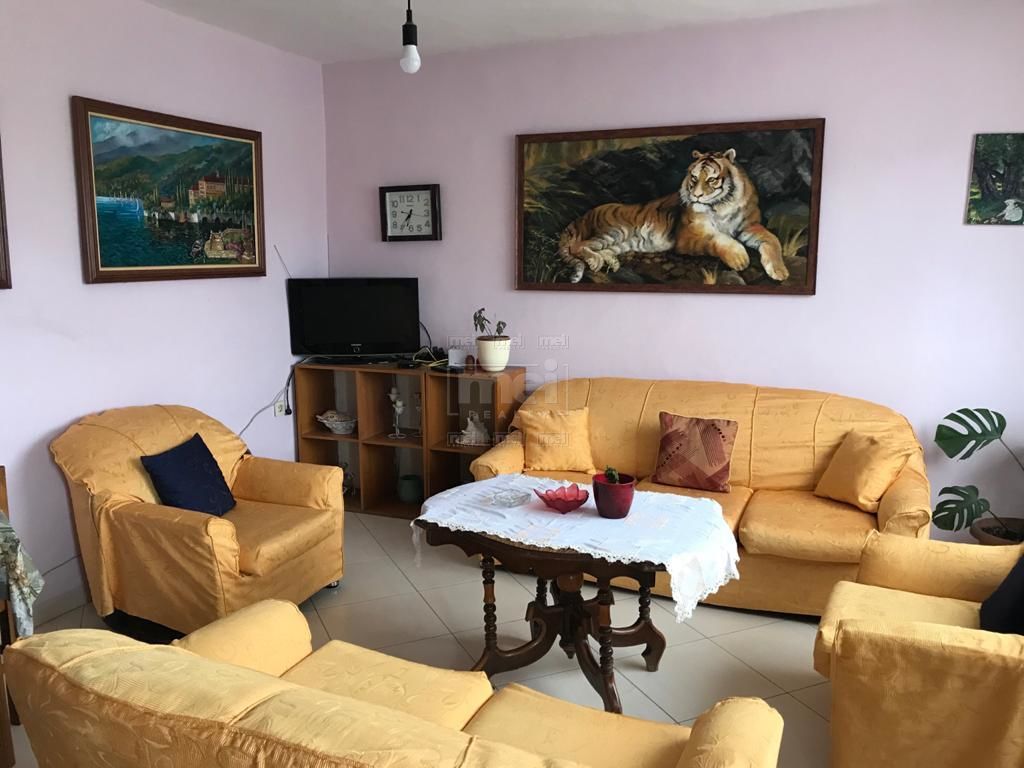 Ne Zog Te Zi Jepet Apartament 2+1 me Qira.