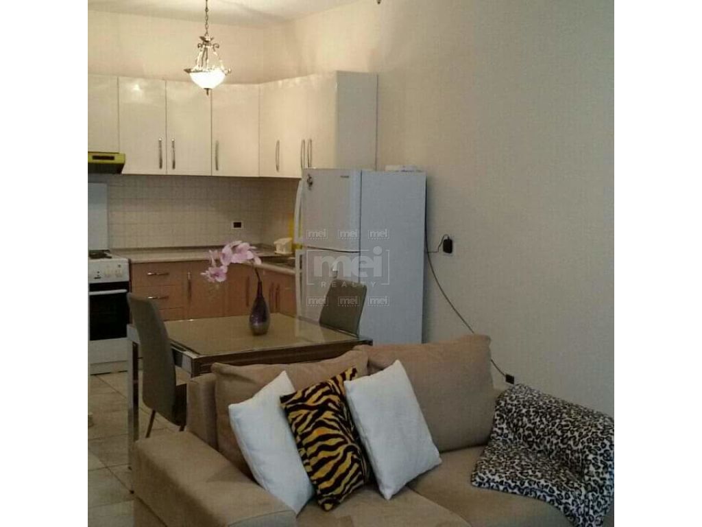 Kopshti Botanik - Zoologjik, Jepet me Qira Apartament 1+1