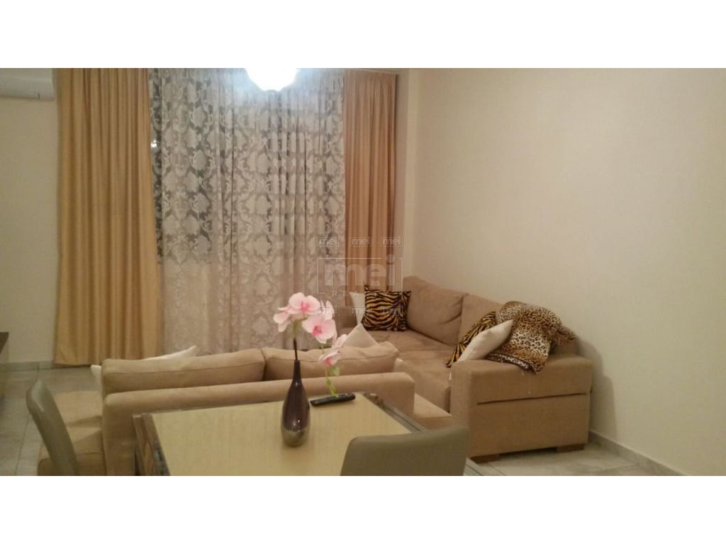 Kopshti Botanik - Zoologjik, Jepet me Qira Apartament 1+1