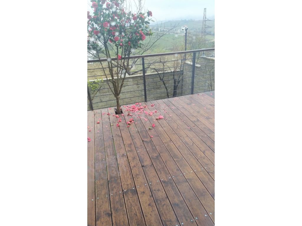 Shitet Vile Ne Liqenin E Farkes.
