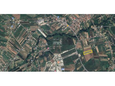 SHITET TOKE NE MANEZ !