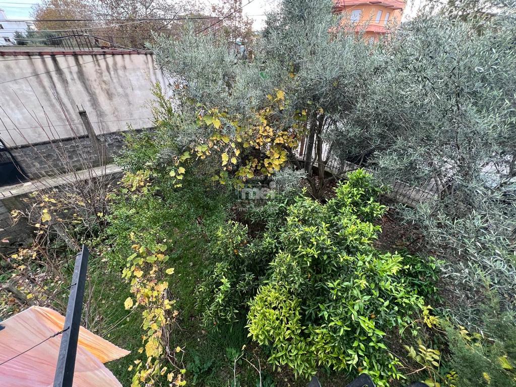 SHITET VILE 3-KATESHE NE SPITALLE!