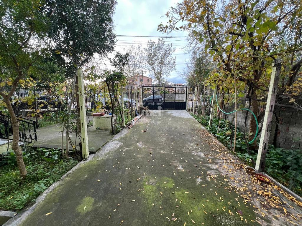 SHITET VILE 3-KATESHE NE SPITALLE!