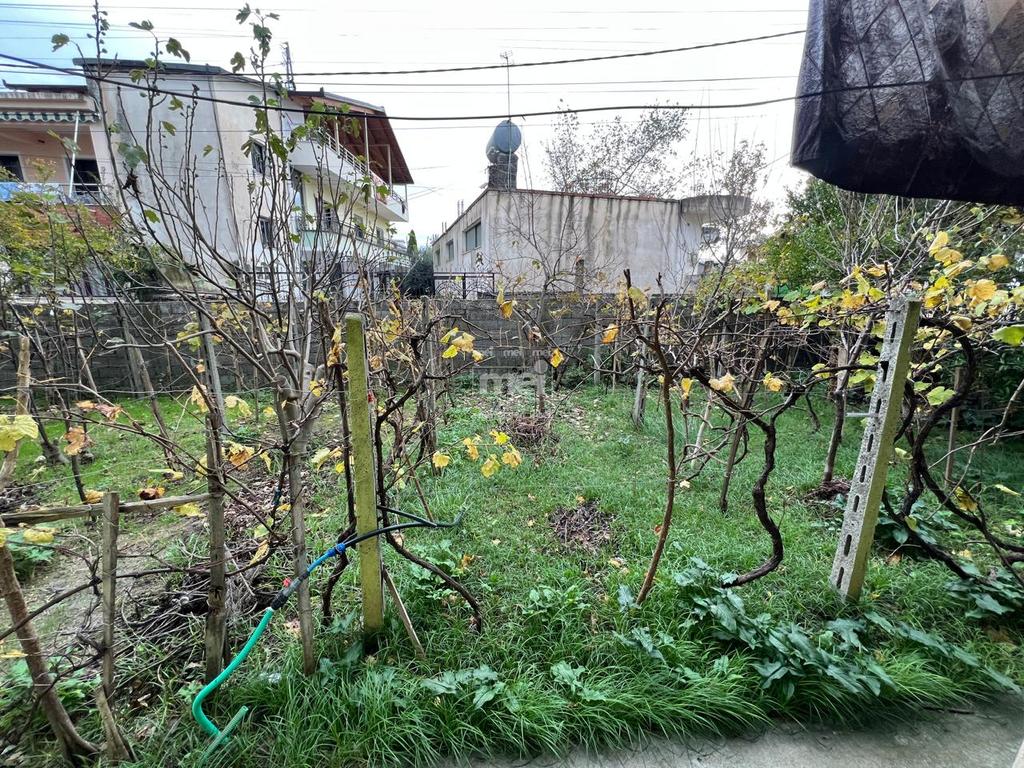 SHITET VILE 3-KATESHE NE SPITALLE!