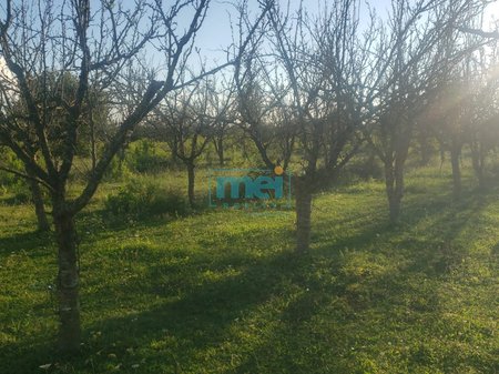 Shitet Super Toke ne Durres!