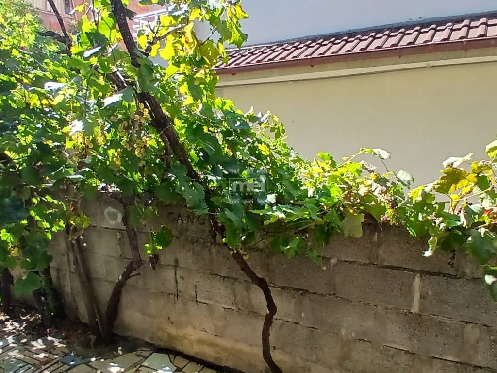 JEPET ME QIRA GARSIONER TE RROTA E KUQE
