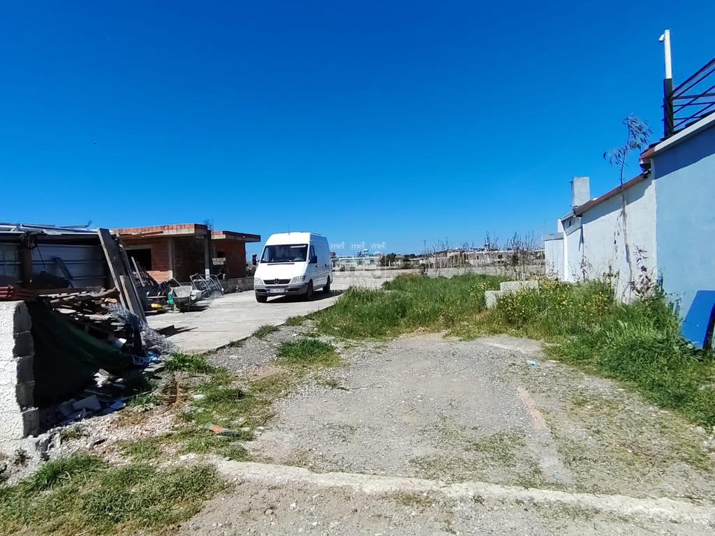 SHITET TOKE NE SEKTOR RINIA!