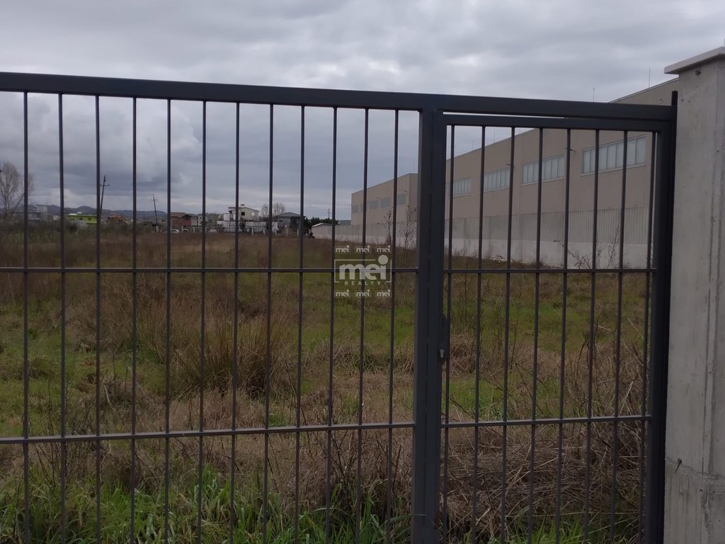 JEPET ME QIRA TOKE NE XHAVZOTAJ!