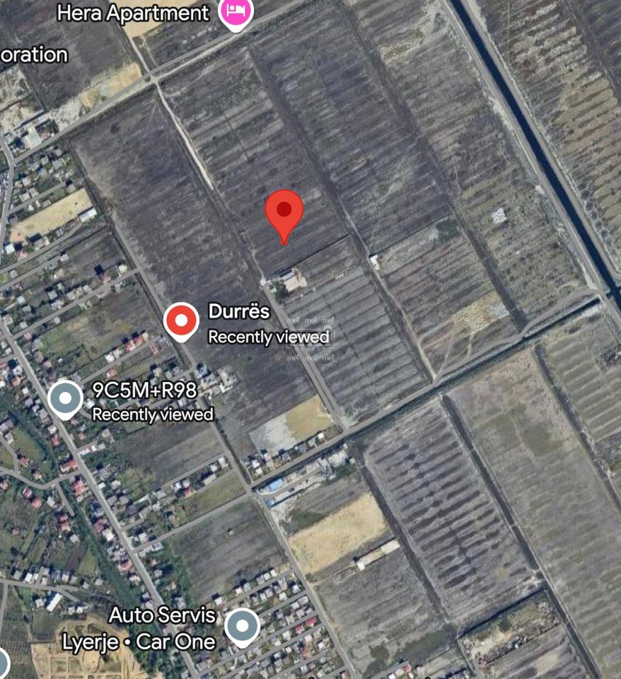 SHITET TOKE NE SPITALLE!