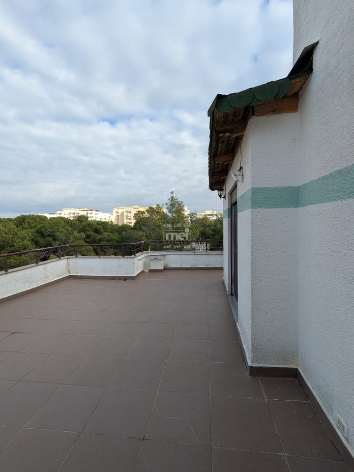 SHITET PAPAFINGO PAMJE NGA DETI