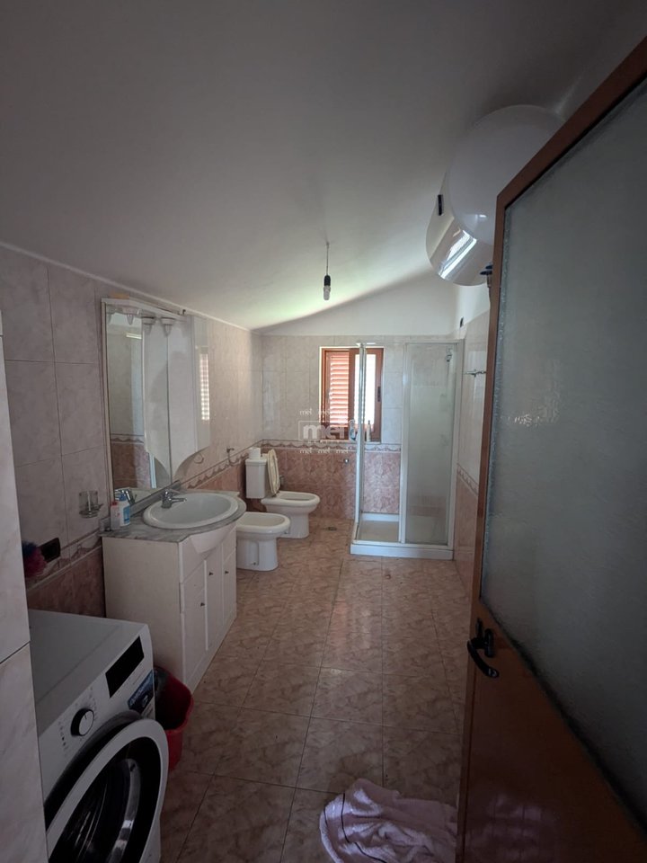 SHITET VILE NE MANEZ!