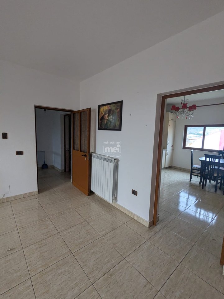 SHITET VILE NE MANEZ!