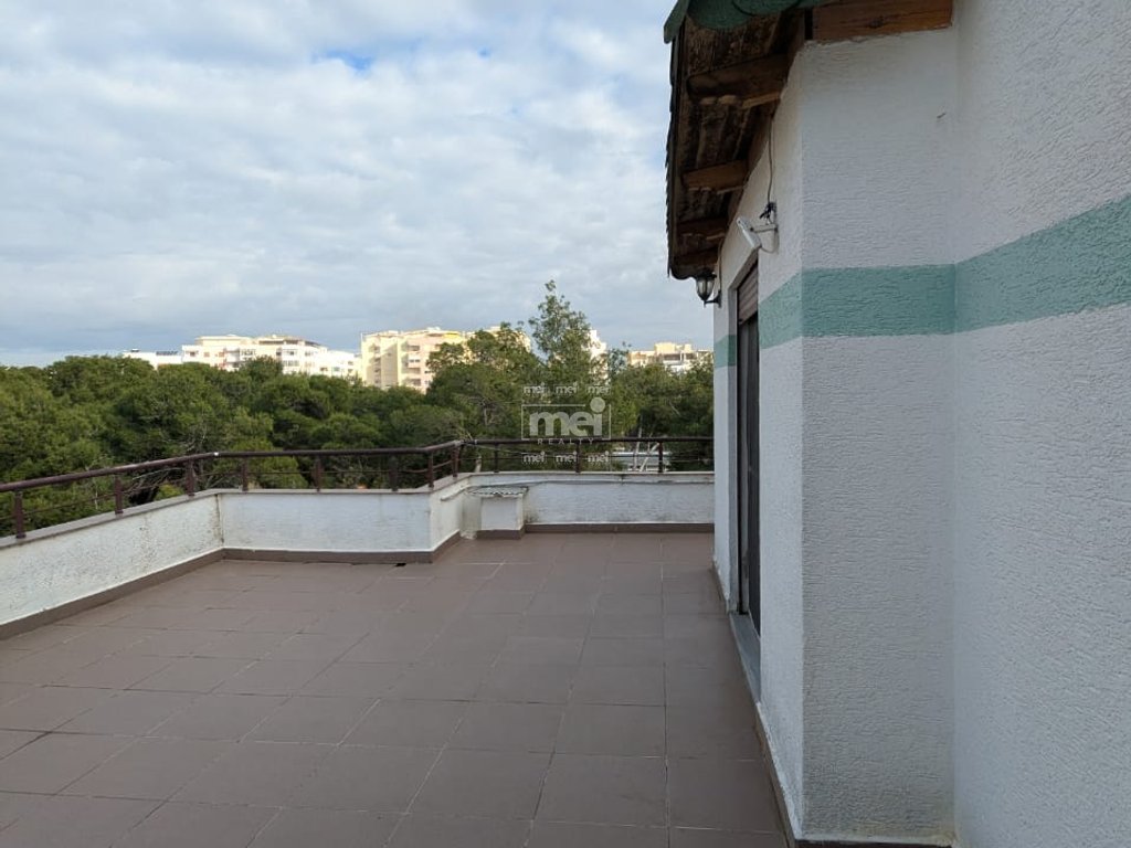 SHITET PAPAFINGO PAMJE NGA DETI