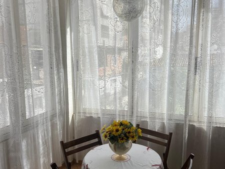 JEPET ME QIRA VILE AFER MUZEUMIT!