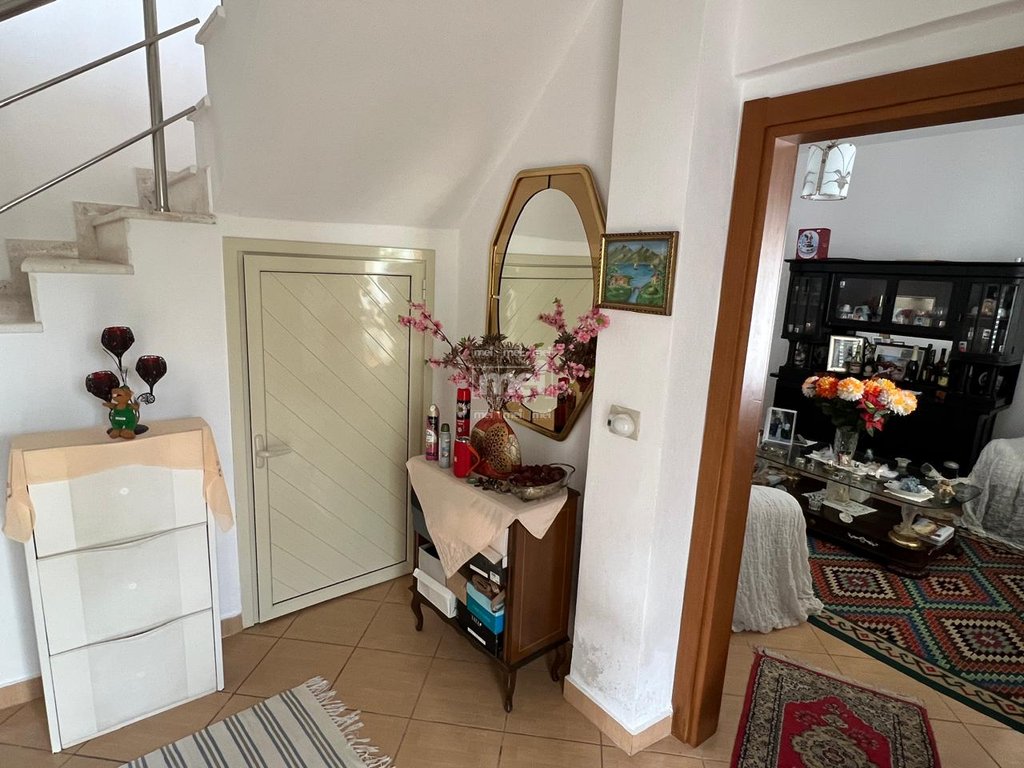 JEPET ME QIRA VILE AFER MUZEUMIT!