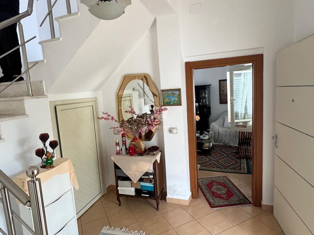 SHITET VILE AFER MUZEUMIT!