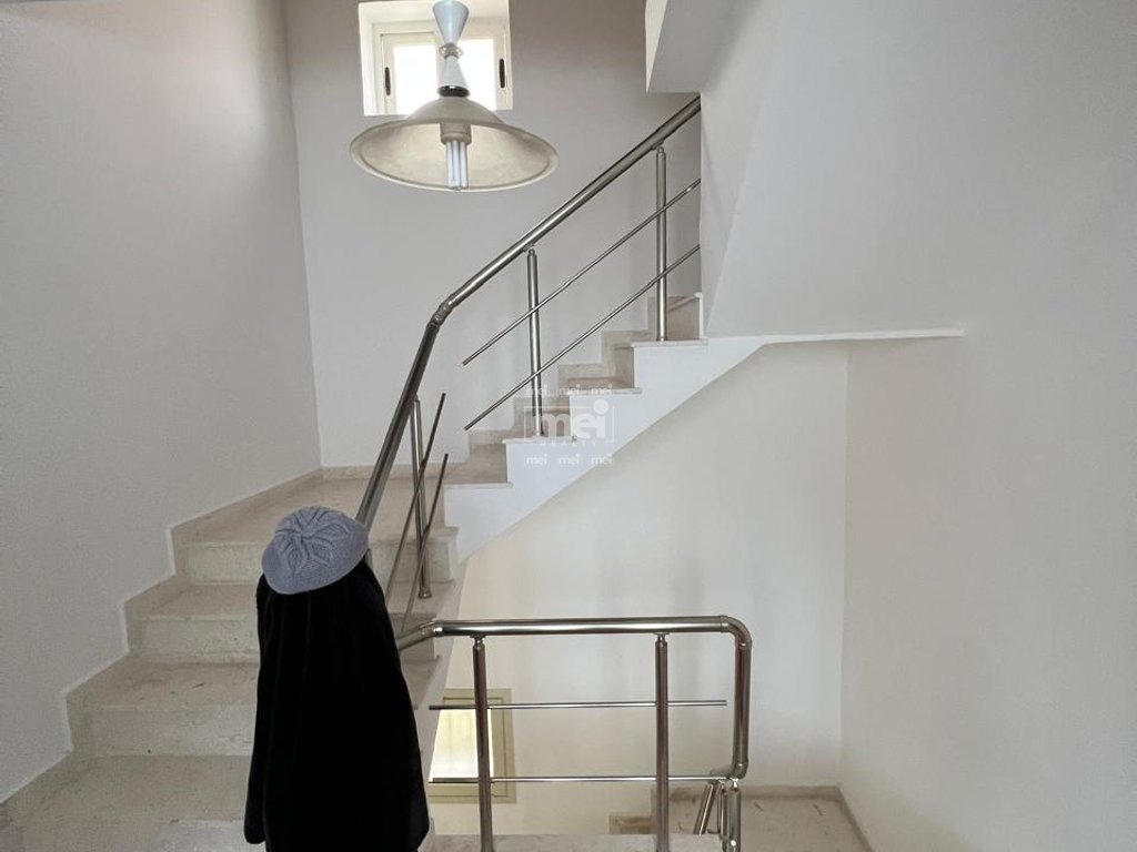 SHITET VILE AFER MUZEUMIT!