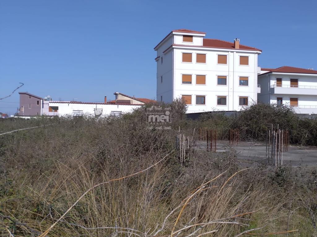 SHITET TRUALL NE SHKOZET!