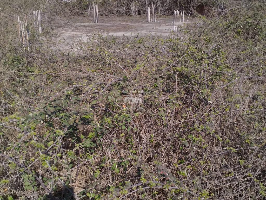 SHITET TRUALL NE SHKOZET!