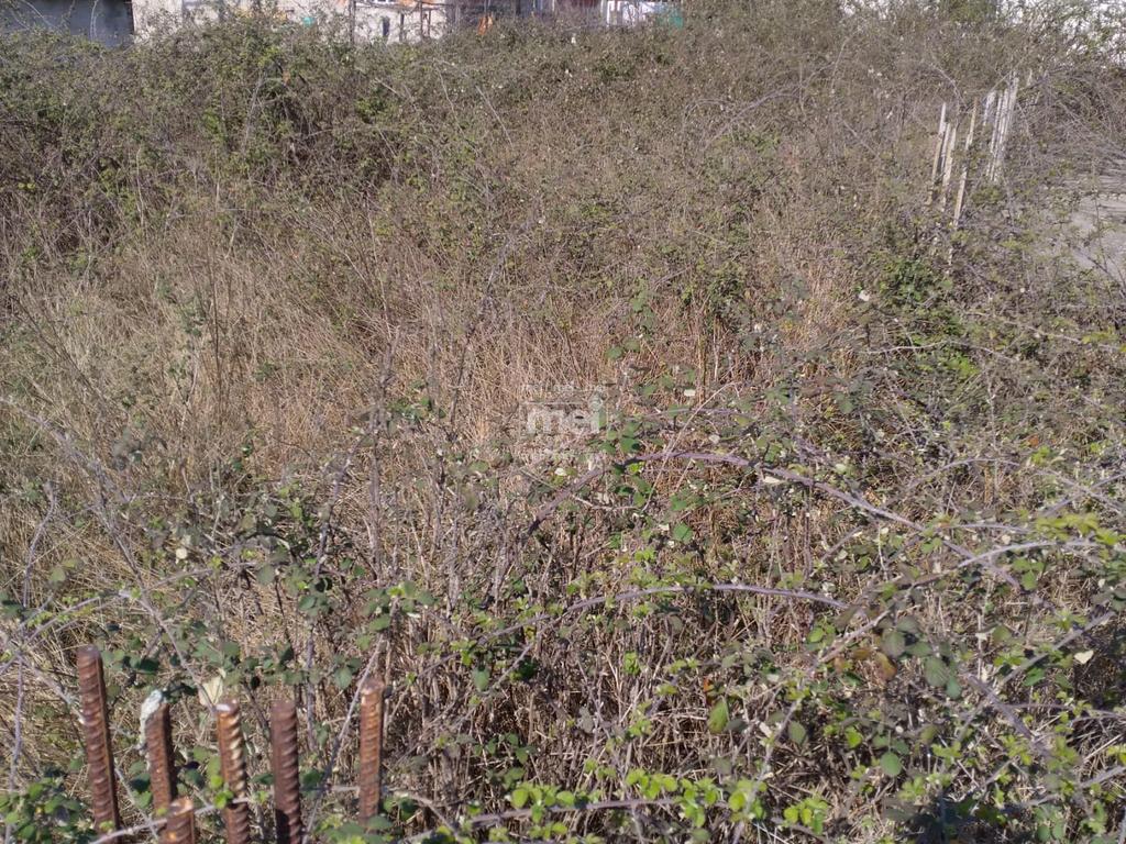 SHITET TRUALL NE SHKOZET!