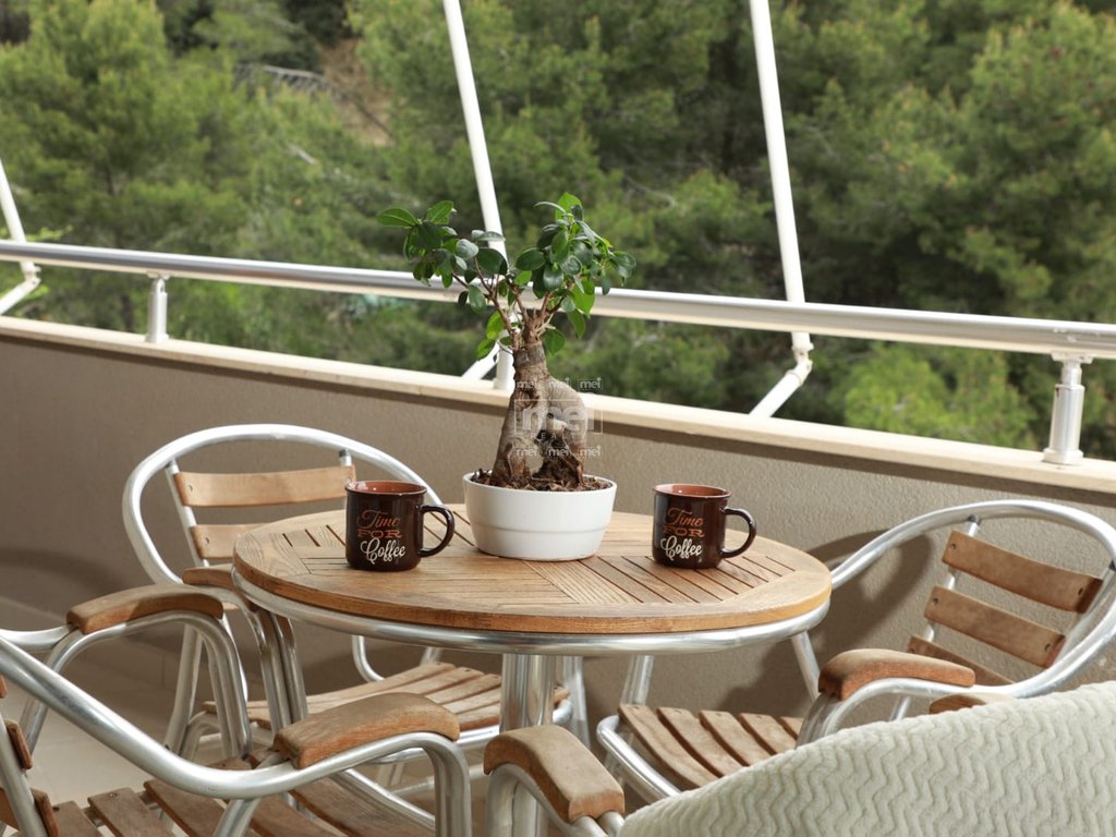 JEPET ME QIRA APARTAMENT 1+1 NE VOLLGA!