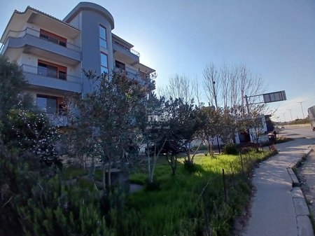 SHITET GODINË 5-KATËSHE NË ARAPAJ!!