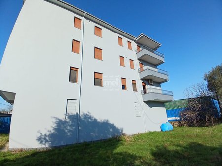 SHITET GODINË 5-KATËSHE NË ARAPAJ!!