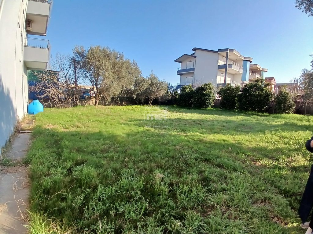 SHITET GODINË 5-KATËSHE NË ARAPAJ!!