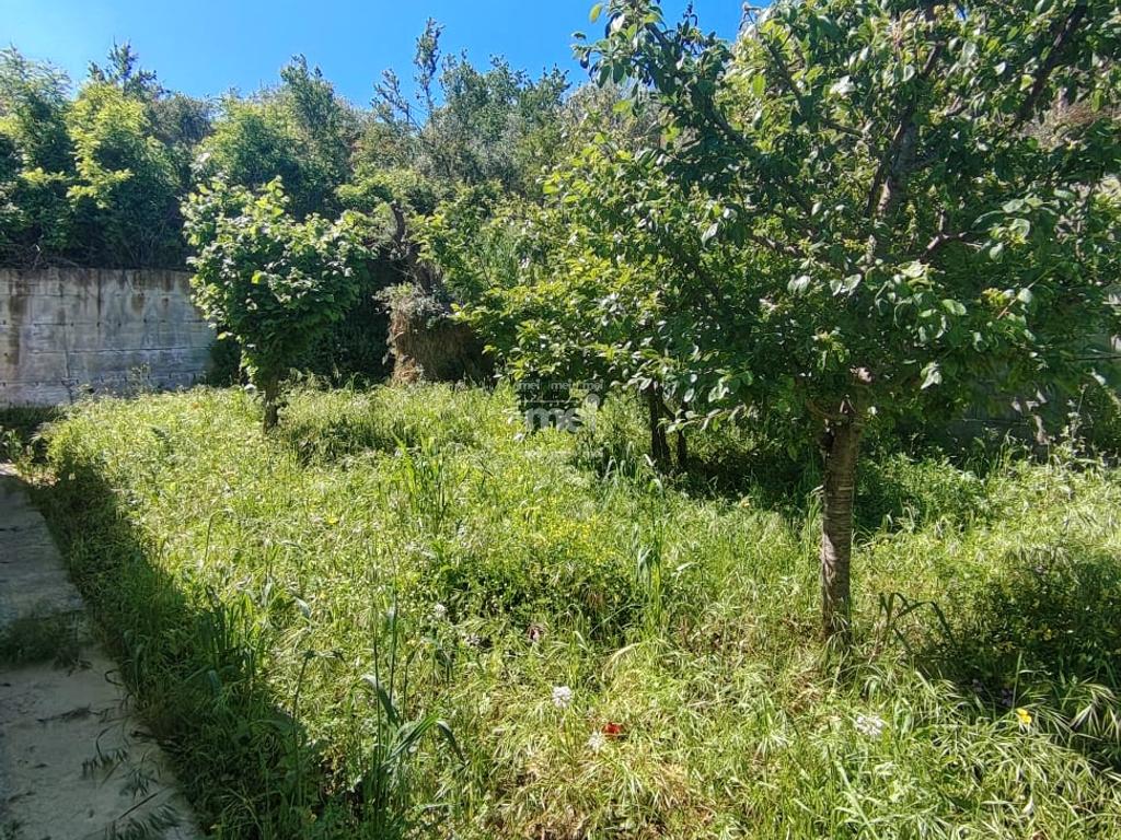 SHTEPI PRIVATE NE SHITJE PRANE CURRILAVE
