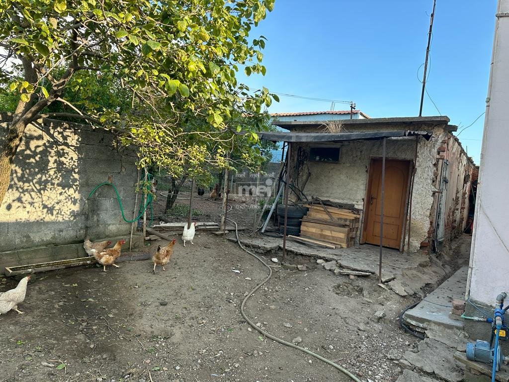 SHITET VILË NË SHËNAVLASH!