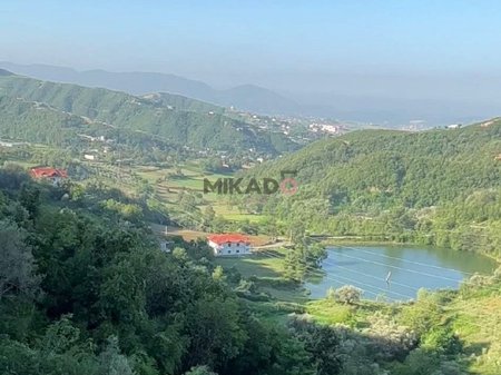 Vendesi Resort a Dajt!