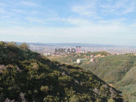 Shitet toke ne Dajt  afer Resort Jurgenit!