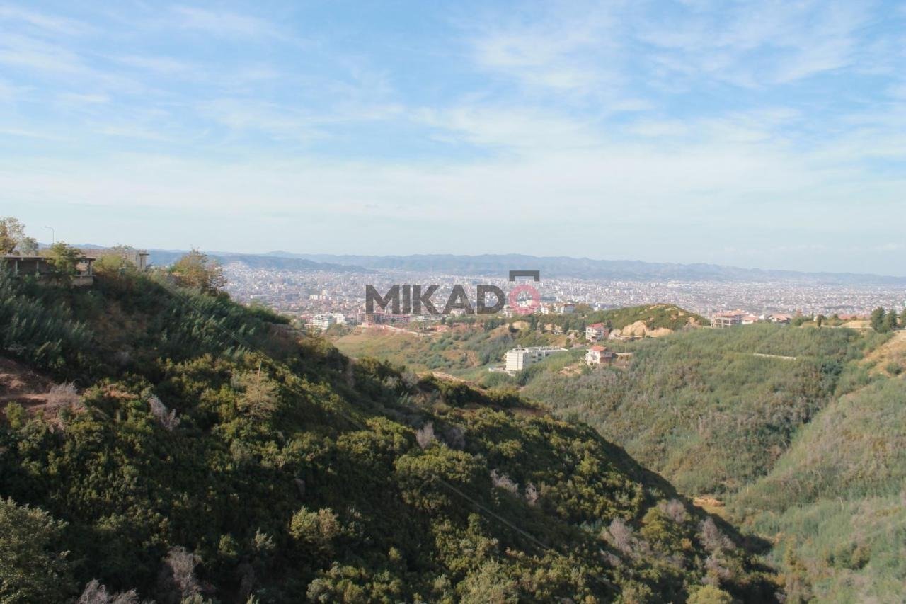 Shitet toke ne Dajt  afer Resort Jurgenit!