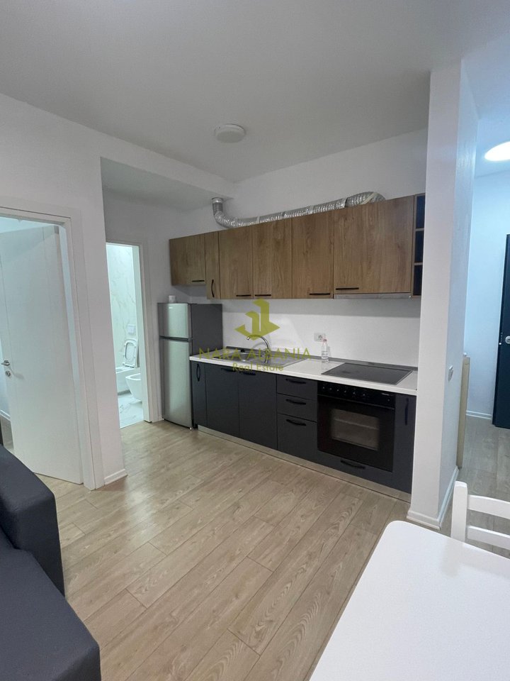 1+1 apartment for rent in Dry Lake, Tirana - 500€
