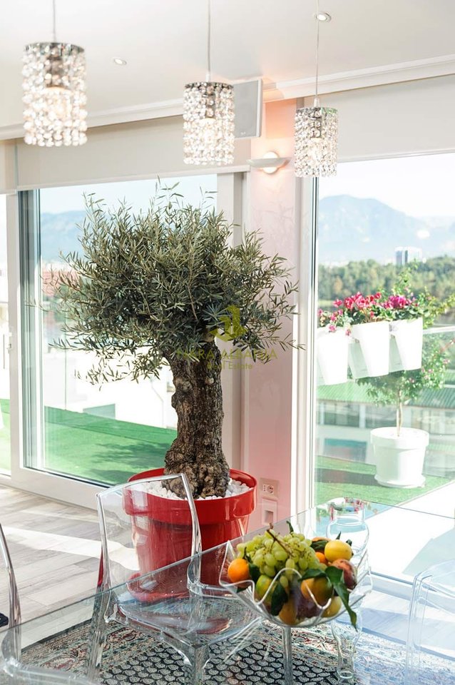Penthouse 2+1+2 Me Qira në Liqeni i Thatë, Tiranë - 1700€ | 203 m²