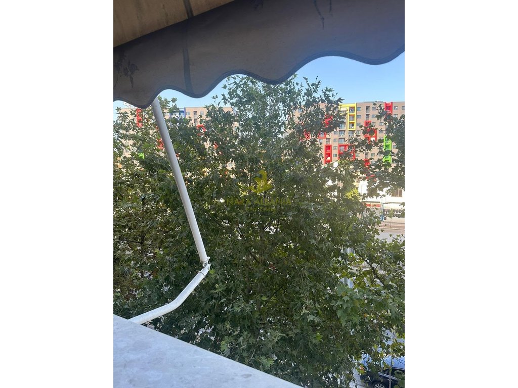 property-4