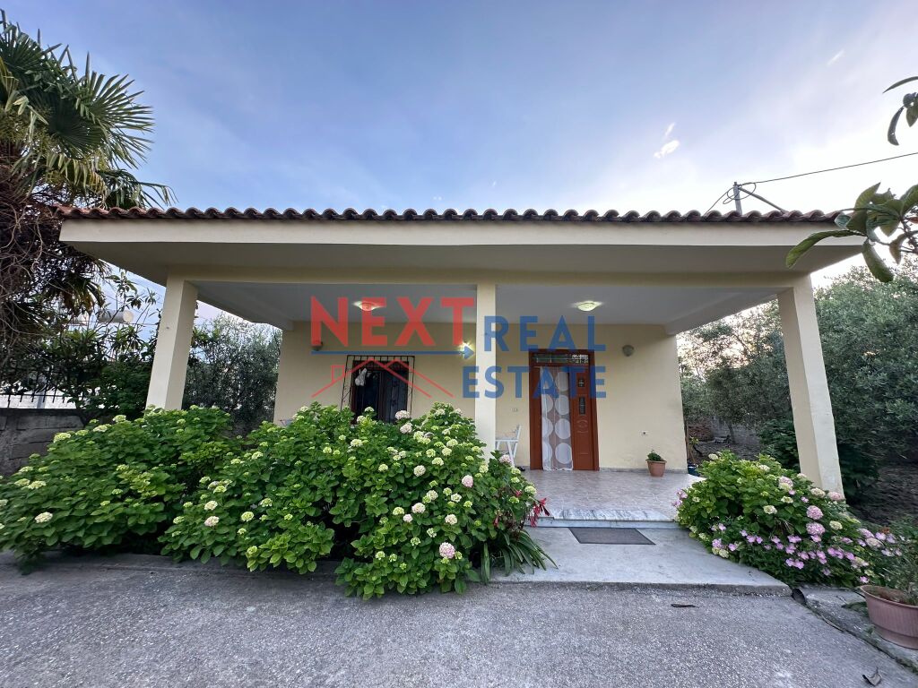 property-4